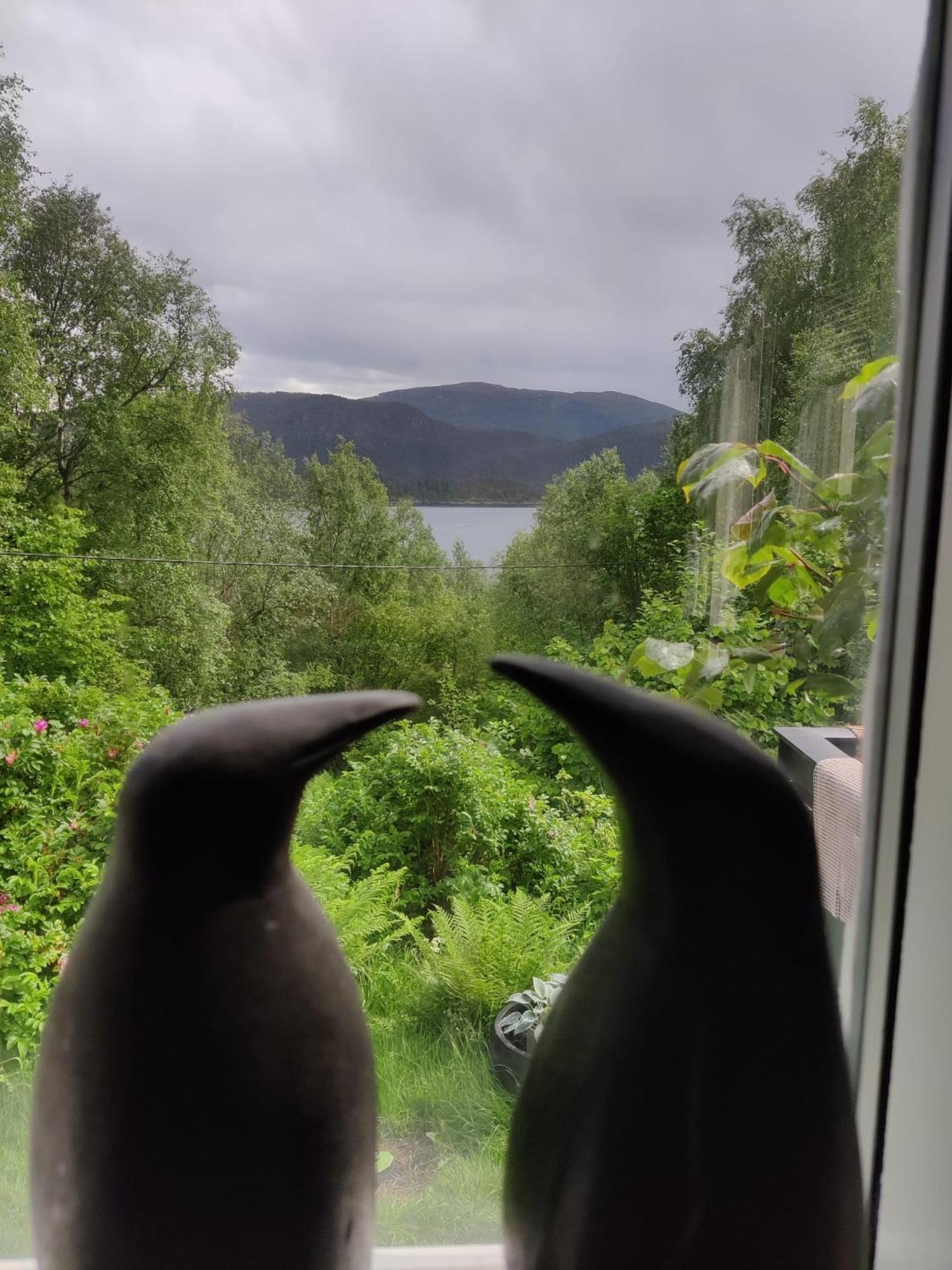 Fjord Peace Villa Skodje Exterior foto